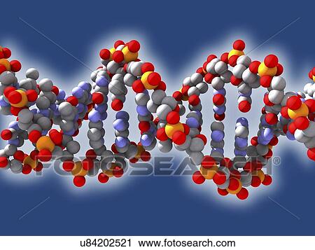 DNA, artwork View Large Illustration Clip Art - DNA, artwork. Fotosearch