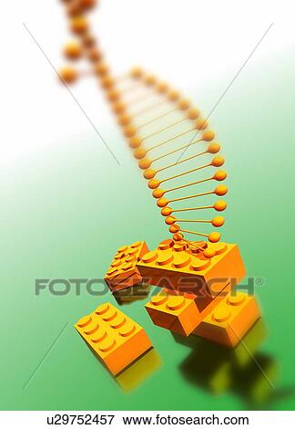 Stock Illustration - DNA, artwork. Fotosearch