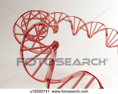 Clip Art - DNA molecule, artwork. Fotosearch