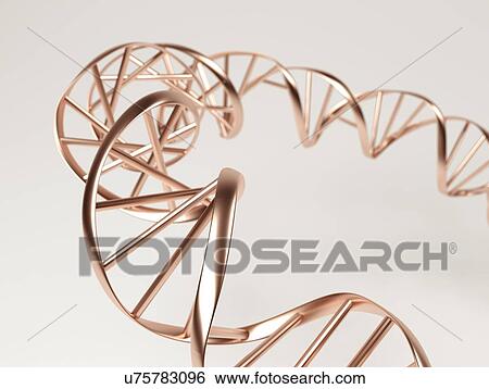 Stock Illustration - DNA molecule. Fotosearch