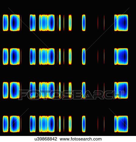 DNA sequence, artwork View Large Illustration Drawing - DNA sequence, artwork. Fotosearch