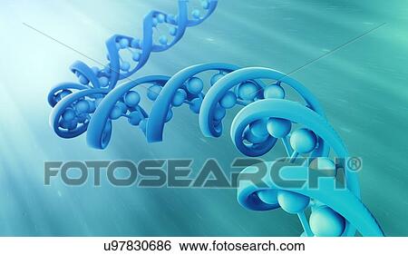 DNA strand model, artwork View Large Illustration Stock Illustration - DNA strand model, artwork. Fotosearch