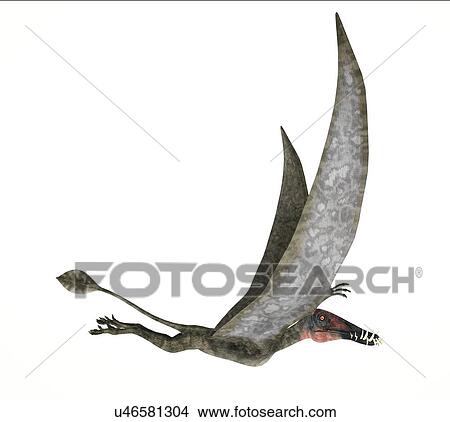 Stock Illustration - Dorygnathus dinosaur, artwork. Fotosearch