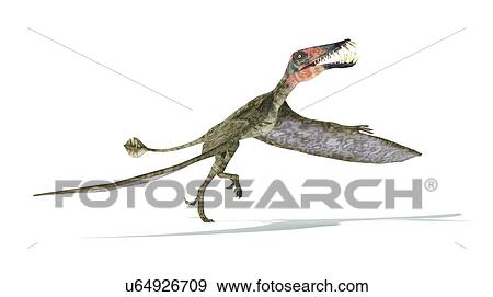 Stock Illustration - Dorygnathus dinosaur, artwork. Fotosearch