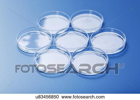 Empty petri dishes View Large Illustration Clipart - Empty petri dishes. Fotosearch