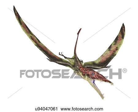Eudimorphodon, artwork View Large Illustration Clip Art - Eudimorphodon, artwork. Fotosearch