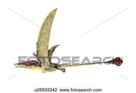 Drawing - Eudimorphodon, artwork. Fotosearch