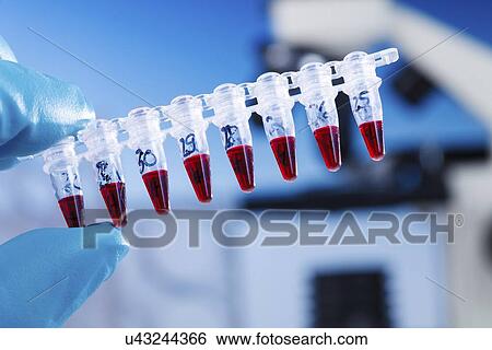 Genetic research View Large Illustration Stock Illustration - Genetic research. Fotosearch