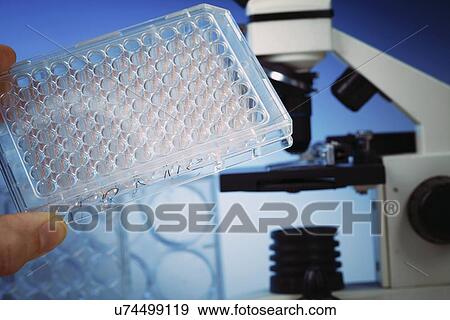 Genetic research View Large Illustration Stock Illustration - Genetic research. Fotosearch