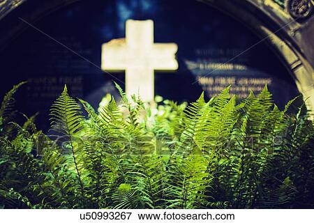 Graveyard View Large Illustration Stock Illustration - Graveyard. Fotosearch