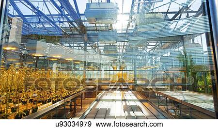 Stock Illustration - Greenhouse. Fotosearch