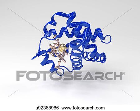 Haemoglobin molecule View Large Illustration Stock Illustration - Haemoglobin molecule. Fotosearch