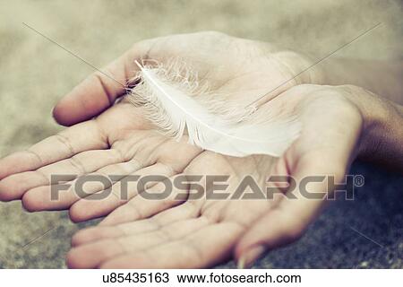 Hands holding feather View Large Illustration Drawing - Hands holding feather. Fotosearch