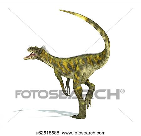 Herrerasaurus dinosaur, artwork View Large Illustration Stock Illustration - Herrerasaurus dinosaur, artwork. Fotosearch