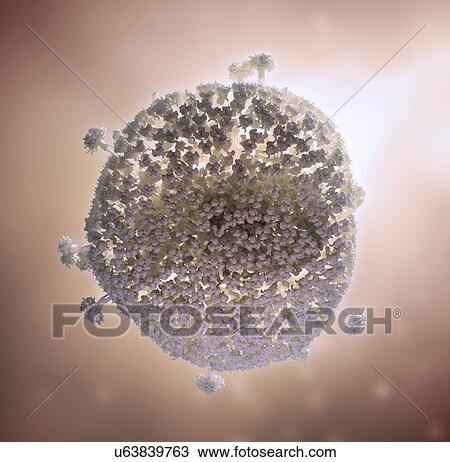 Drawing - HIV, artwork. Fotosearch