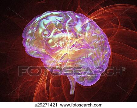 Human brain, artwork View Large Illustration Clip Art - Human brain, artwork. Fotosearch