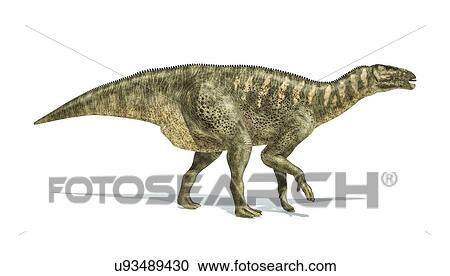 Clipart - Iguanodon dinosaur, artwork. Fotosearch