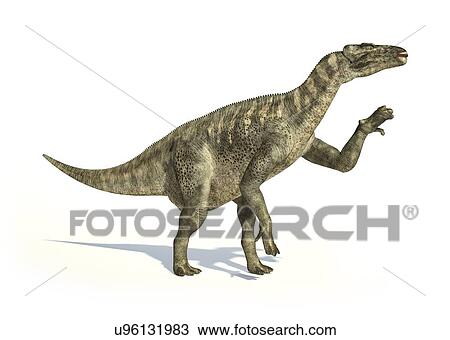 Iguanodon dinosaur, artwork View Large Illustration Drawing - Iguanodon dinosaur, artwork. Fotosearch
