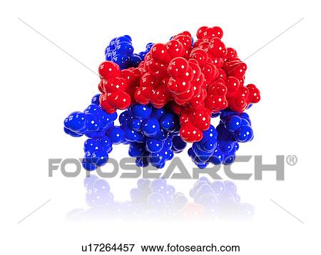 Insulin molecule View Large Illustration Stock Illustration - Insulin molecule. Fotosearch