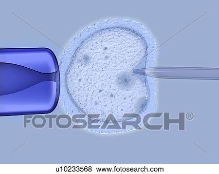 IVF, artwork View Large Illustration Stock Illustration - IVF, artwork. Fotosearch