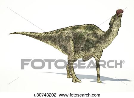 Drawing - Maiasaura dinosaur, artwork. Fotosearch