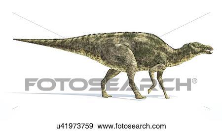 Maiasaura dinosaur, artwork View Large Illustration Stock Illustration - Maiasaura dinosaur, artwork. Fotosearch