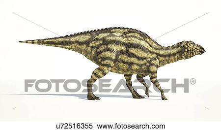 Maiasaura dinosaur, artwork View Large Illustration Stock Illustration - Maiasaura dinosaur, artwork. Fotosearch