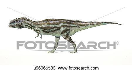 Majungasaurus dinosaur, artwork View Large Illustration Drawing - Majungasaurus dinosaur, artwork. Fotosearch