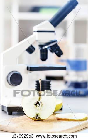 Drawing - Microscope and apple. Fotosearch