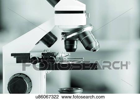 Microscope View Large Illustration Drawing - Microscope. Fotosearch