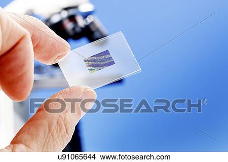Stock Illustration - Microscope slide. Fotosearch