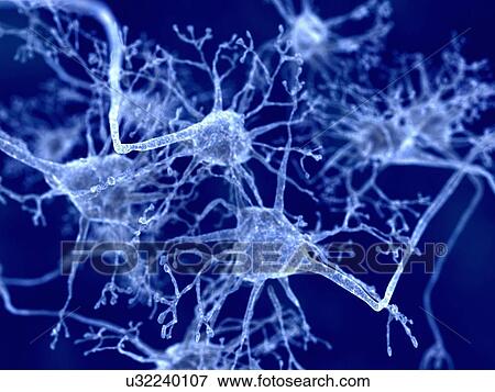 Stock Illustration - Nerve cells, artwork. Fotosearch