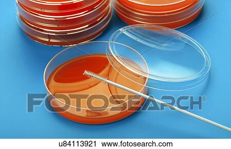 Petri dish View Large Illustration Clip Art - Petri dish. Fotosearch