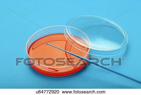 Clipart - Petri dish. Fotosearch