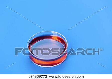 Petri dish View Large Illustration Drawing - Petri dish. Fotosearch