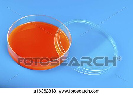 Petri dish View Large Illustration Stock Illustration - Petri dish. Fotosearch