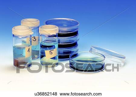 Petri dishes and vials View Large Illustration Stock Illustration - Petri dishes and vials. Fotosearch