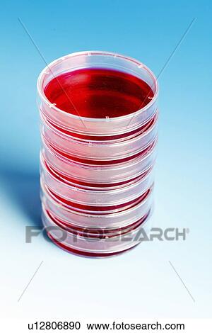 Petri dishes View Large Illustration Clipart - Petri dishes. Fotosearch