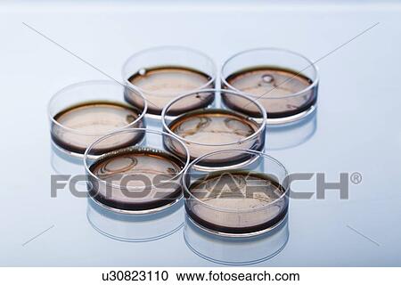 Clipart - Petri dishes. Fotosearch