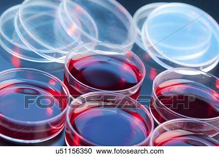 Petri dishes View Large Illustration Clipart - Petri dishes. Fotosearch