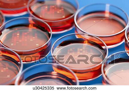 Petri dishes View Large Illustration Stock Illustration - Petri dishes. Fotosearch