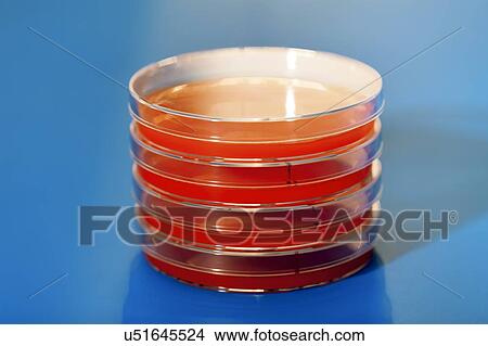 Petri dishes View Large Illustration Stock Illustration - Petri dishes. Fotosearch