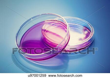 Petri dishes View Large Illustration Stock Illustration - Petri dishes. Fotosearch