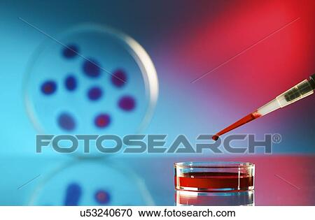 Pipette and petri dish View Large Illustration Clipart - Pipette and petri dish. Fotosearch