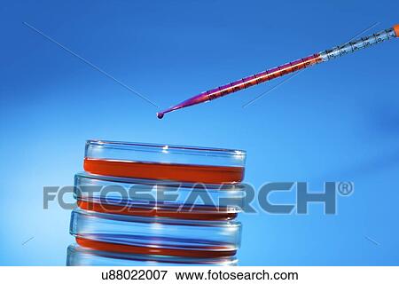 Pipette and petri dishes View Large Illustration Stock Illustration - Pipette and petri dishes. Fotosearch
