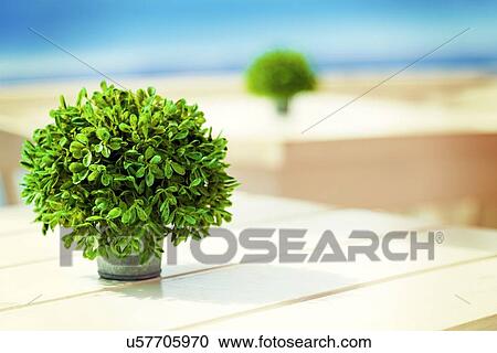 Clipart - Pot plant. Fotosearch