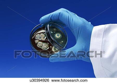 Stock Illustration - Scientist with petri dish. Fotosearch