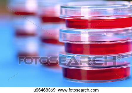 Stack of petri dishes View Large Illustration Stock Illustration - Stack of petri dishes. Fotosearch
