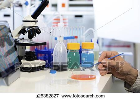Testing samples in petri dish View Large Illustration Stock Illustration - Testing samples in petri dish. Fotosearch