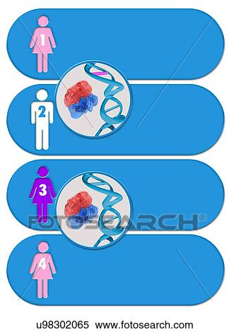 Stock Illustration - Three parent baby process, artwork. Fotosearch